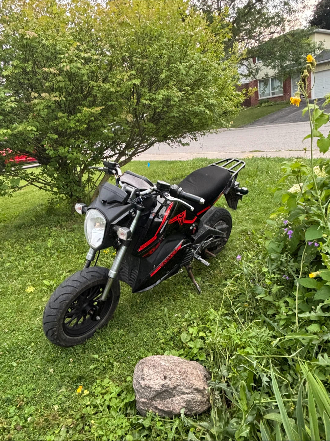 Electric ebike raptor