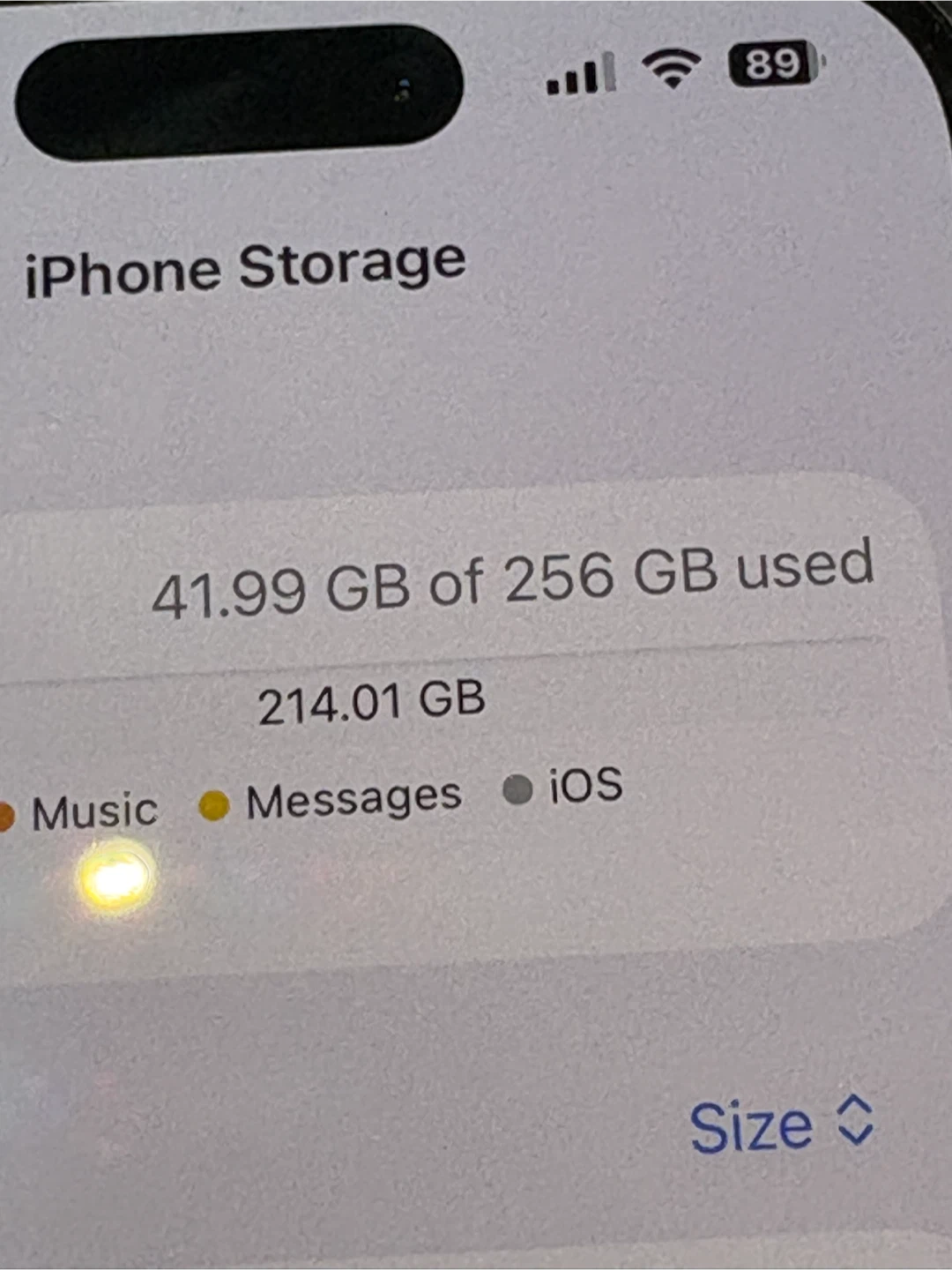 Apple iPhone 15 256 GB - photo 3