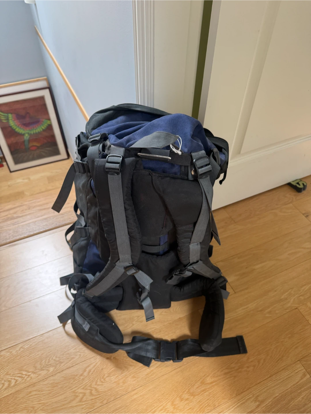 hiking backpack - photo 2