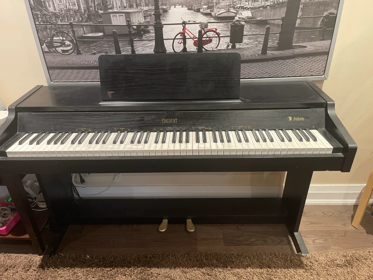 Viscount Andante Digital Piano - photo 2