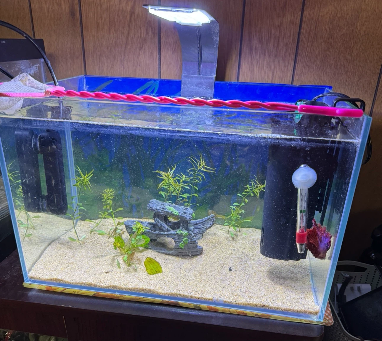 RIMLESS TANK+LED  LIGHT+FILTER+ HEATER+SAND+DECOR+ FISH NET+FOOD