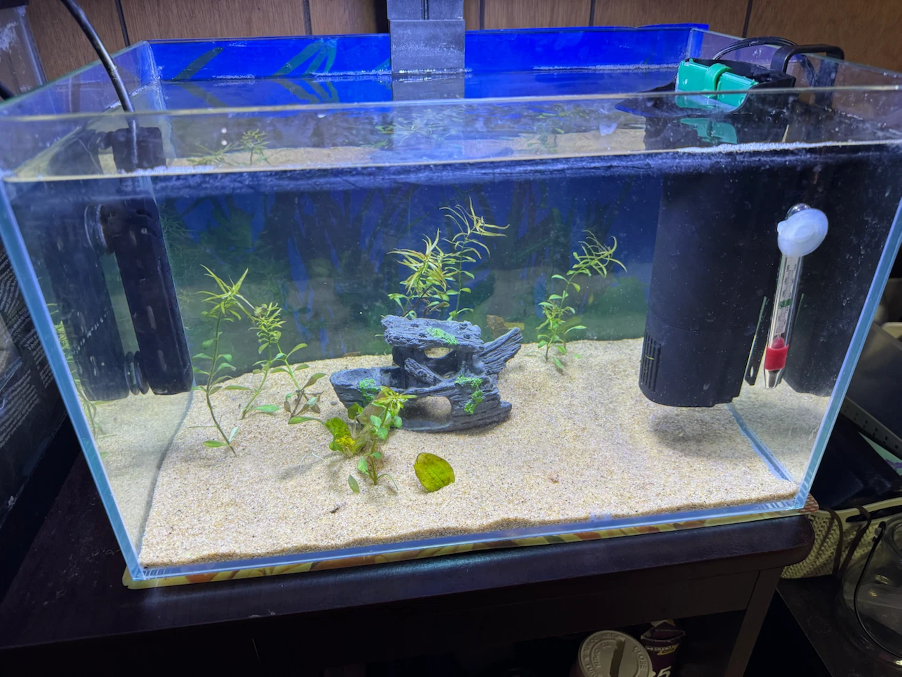 RIMLESS TANK+LED  LIGHT+FILTER+ HEATER+SAND+DECOR+ FISH NET+FOOD - photo 4