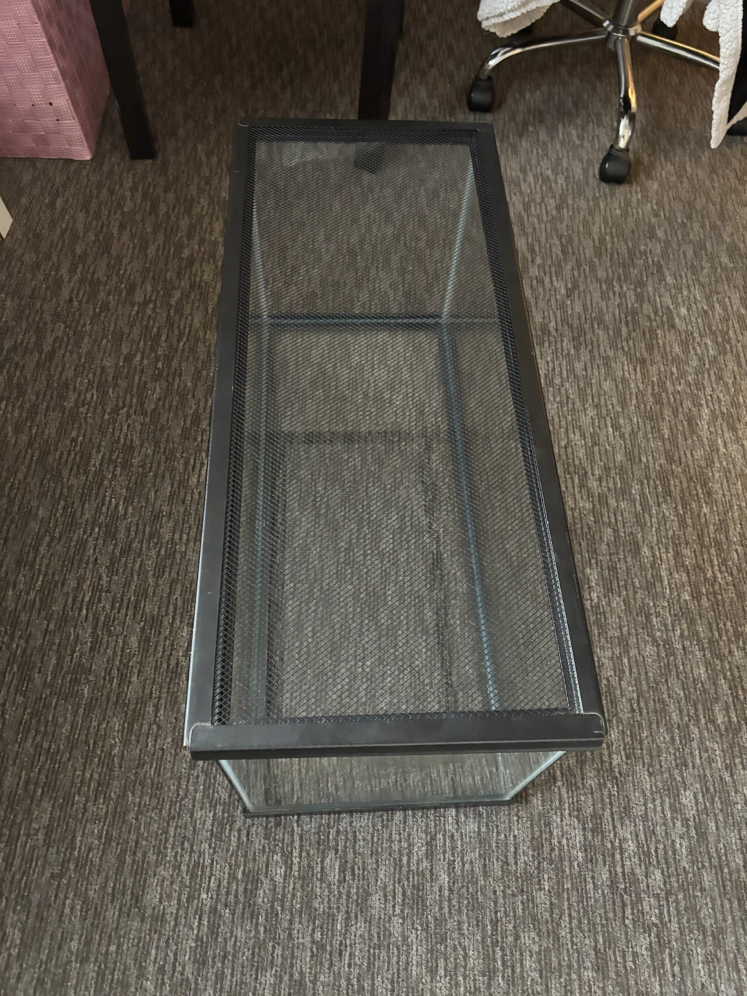 Glass Terrarium Tank with Mesh Lid - photo 4