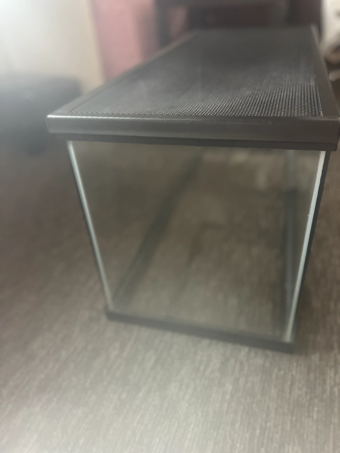 Glass Terrarium Tank with Mesh Lid - photo 5