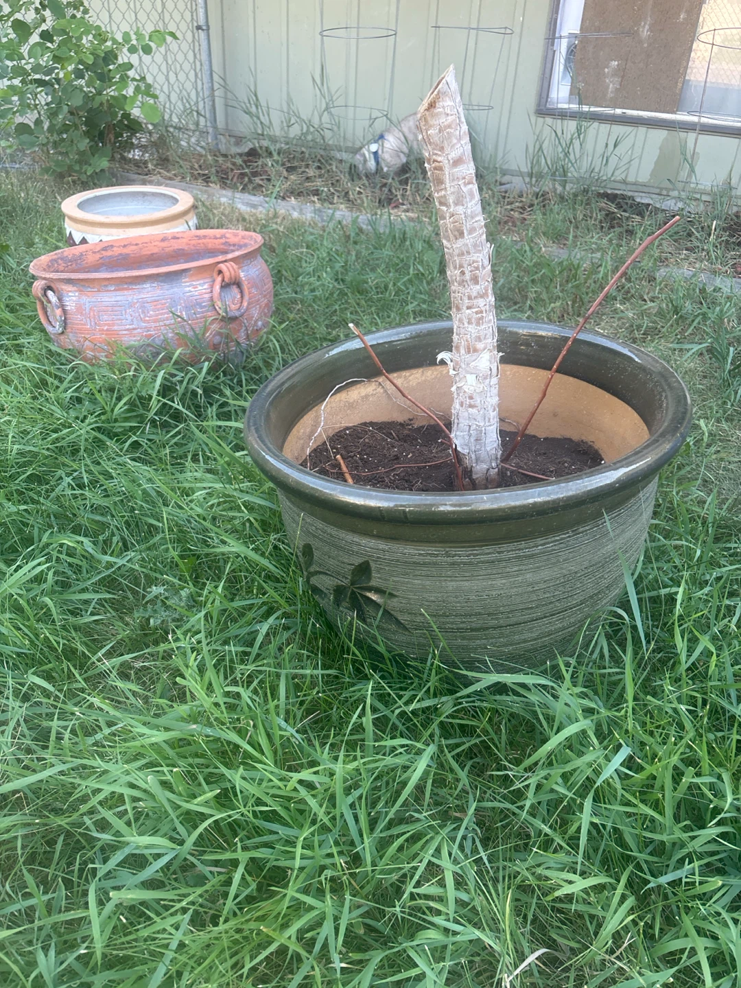 Large Green Decorative Planter Pot