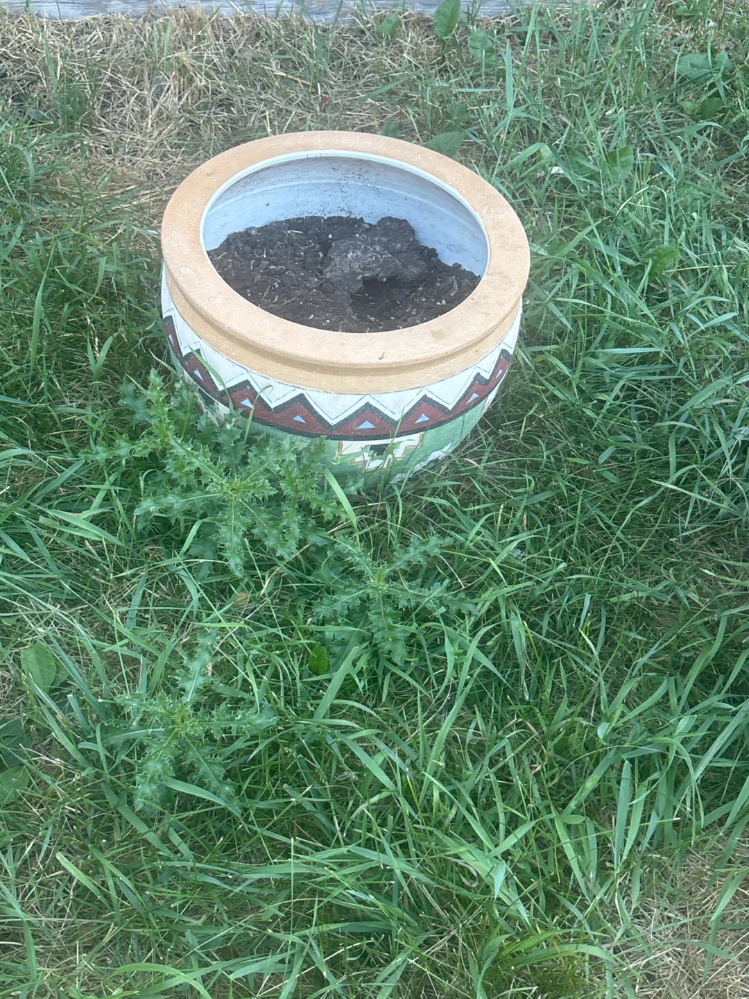 Decorative Ceramic Planter Pot
