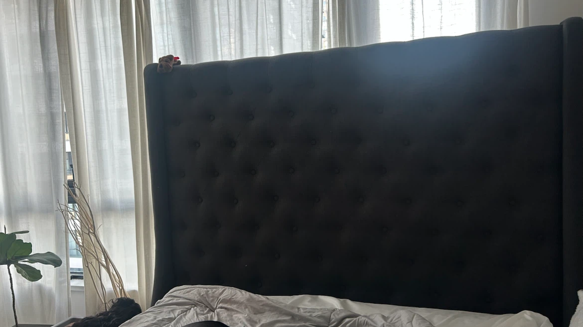 Free Queen bedframe (high headboard) and box spring