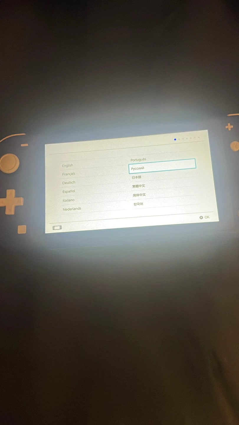 Nintendo Switch Lite