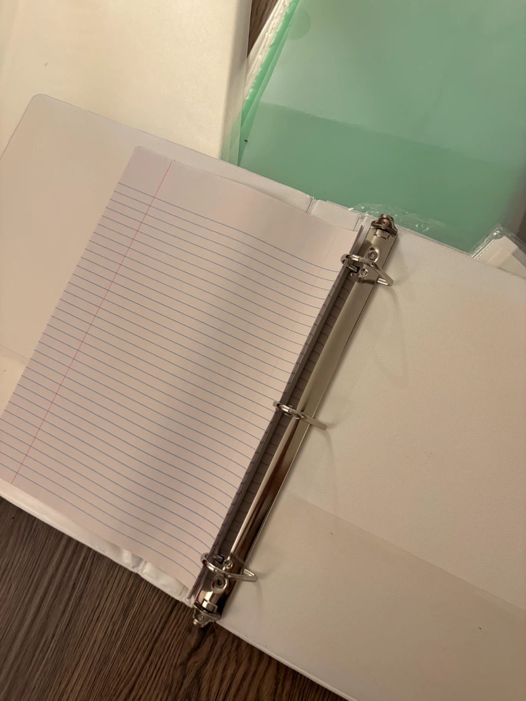 Studio Organizers Binder and Sheet Protectors - photo 3