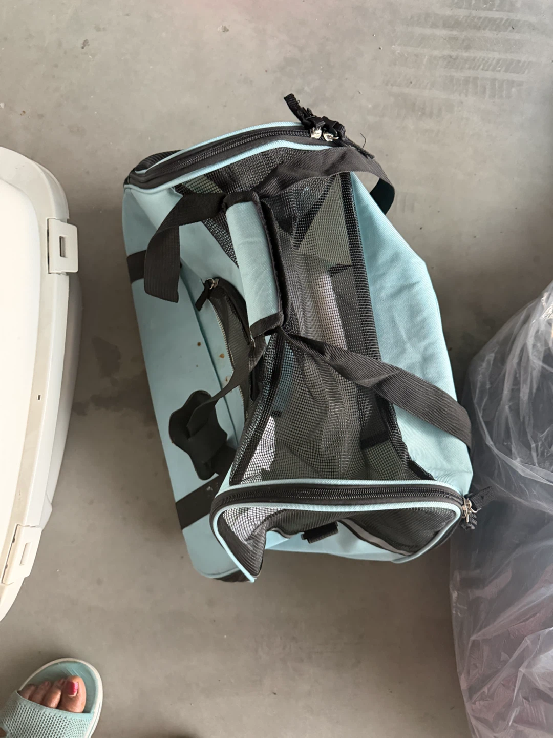 Cat Litter Box and Pet Carrier