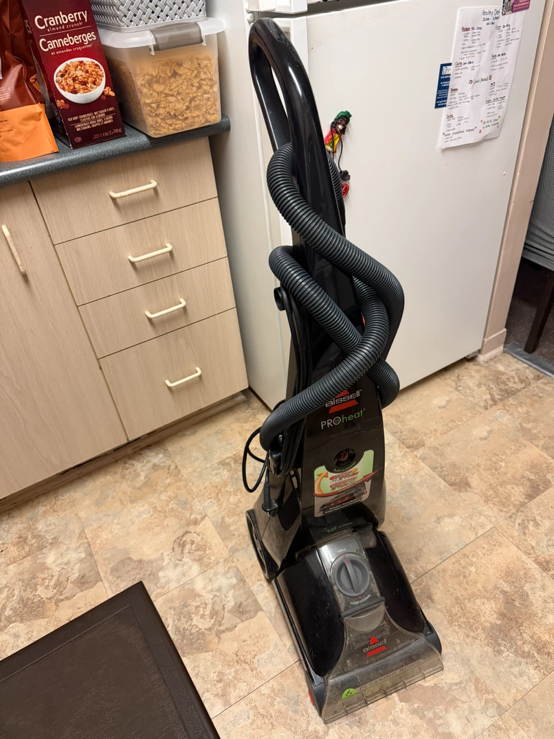 Bissell ProHeat Carpet Cleaner - photo 2