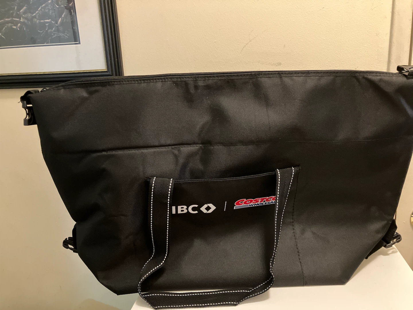 Costco Insulated Bag