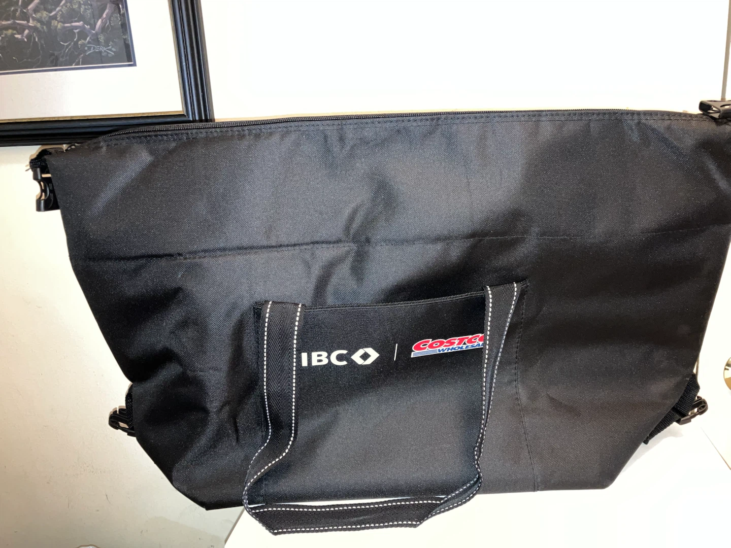 Costco Insulated Bag - photo 2