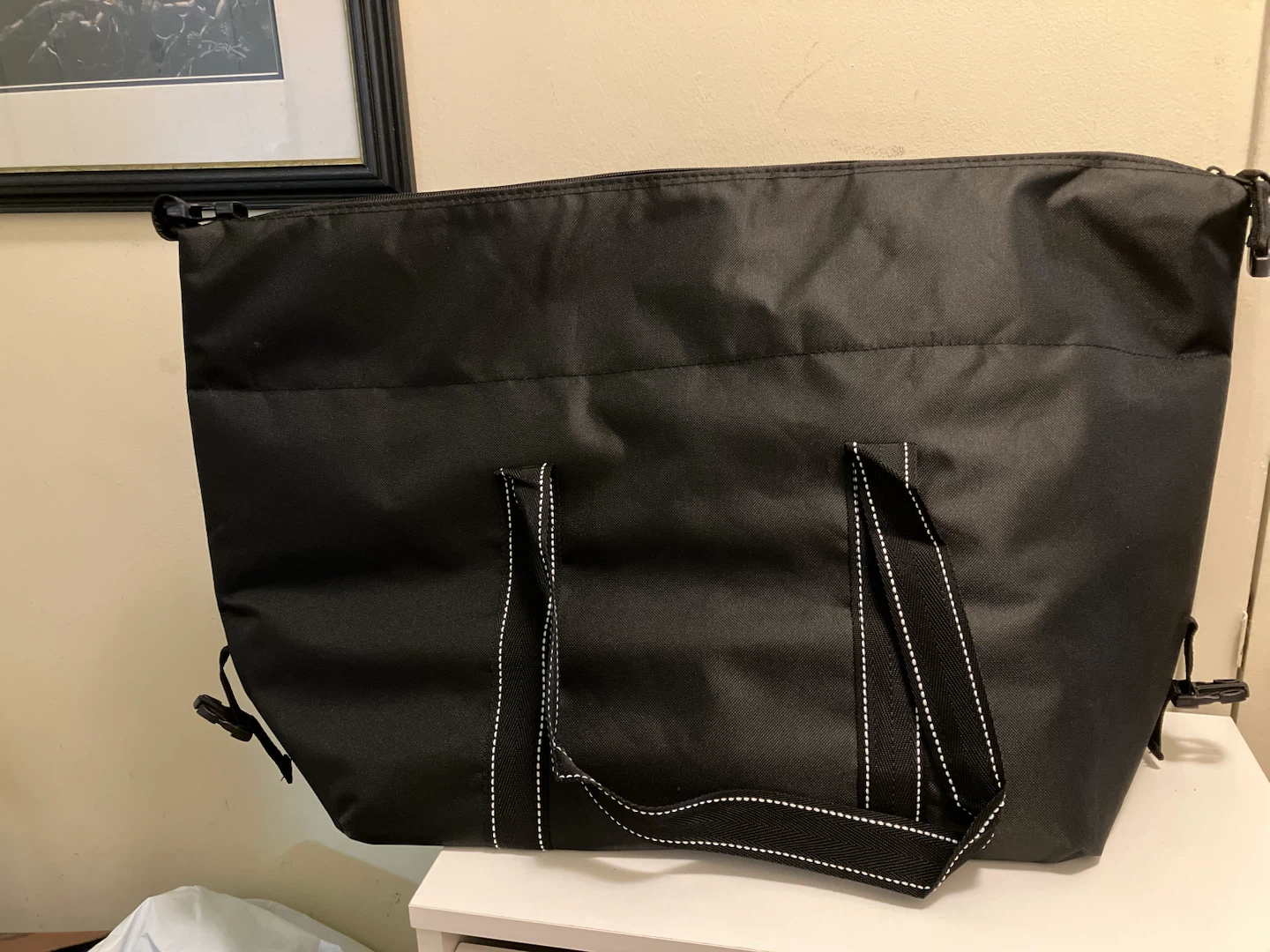 Costco Insulated Bag - photo 3