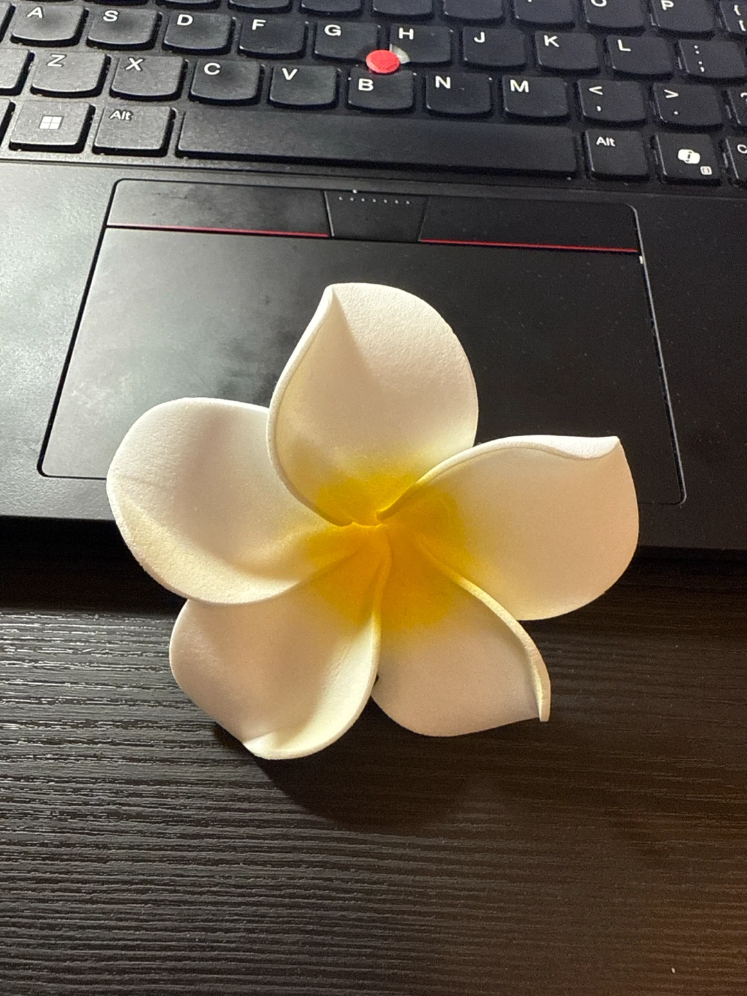 New White Plumeria Flower Hair Clip