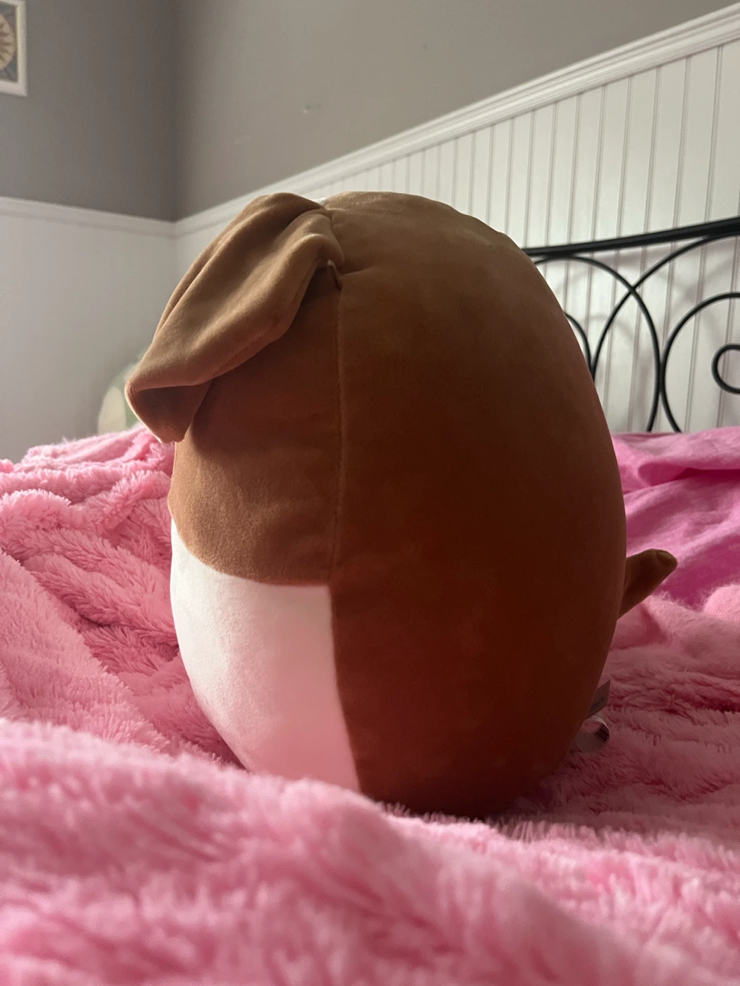 Brenden 12 Inch Squishmallows Dog Plush Toy (NWT) - photo 2