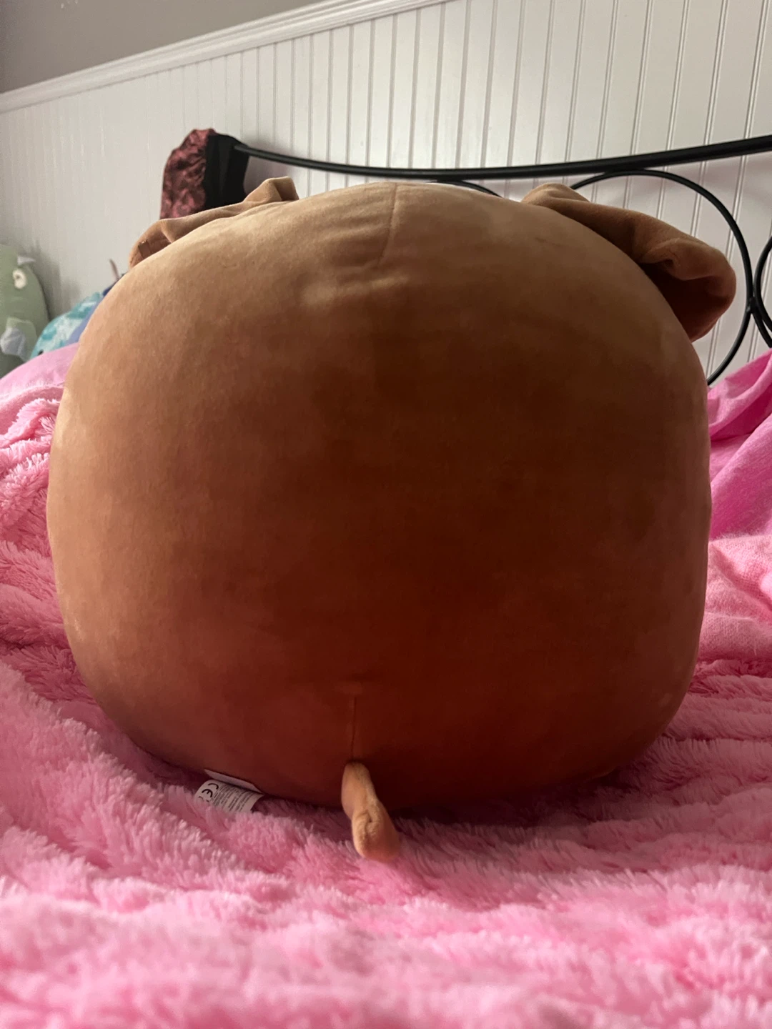 Brenden 12 Inch Squishmallows Dog Plush Toy (NWT) - photo 3