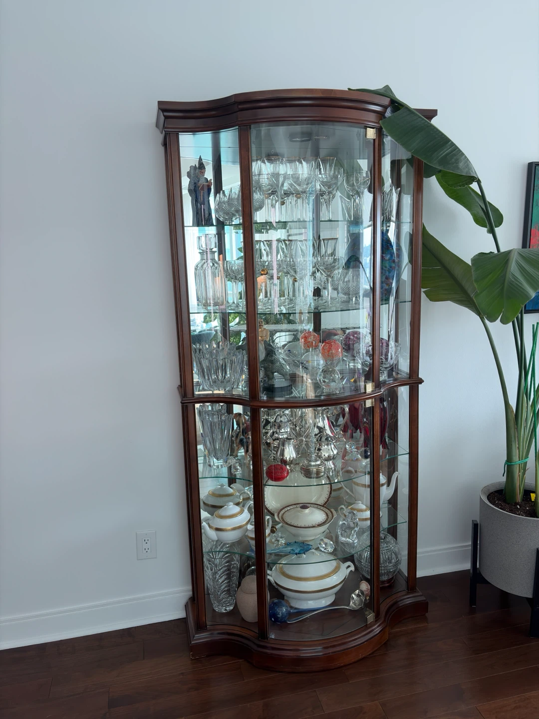 Curved Glass Display Cabinet