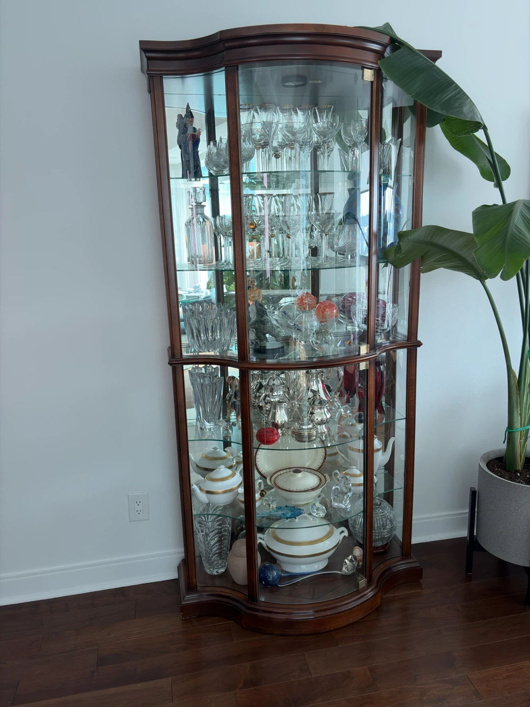 Curved Glass Display Cabinet - photo 3