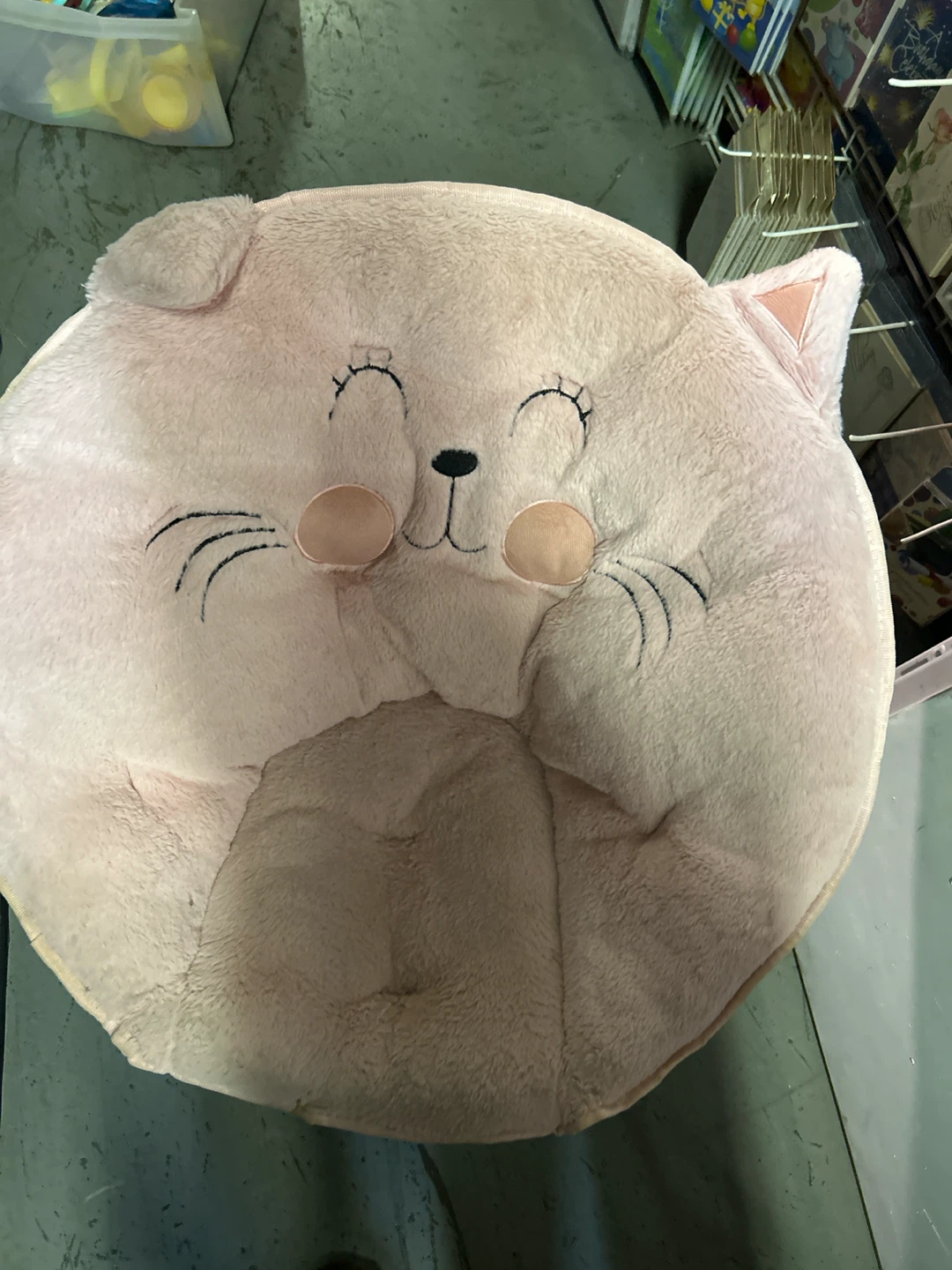 Pink Cat Bean Bag Chair