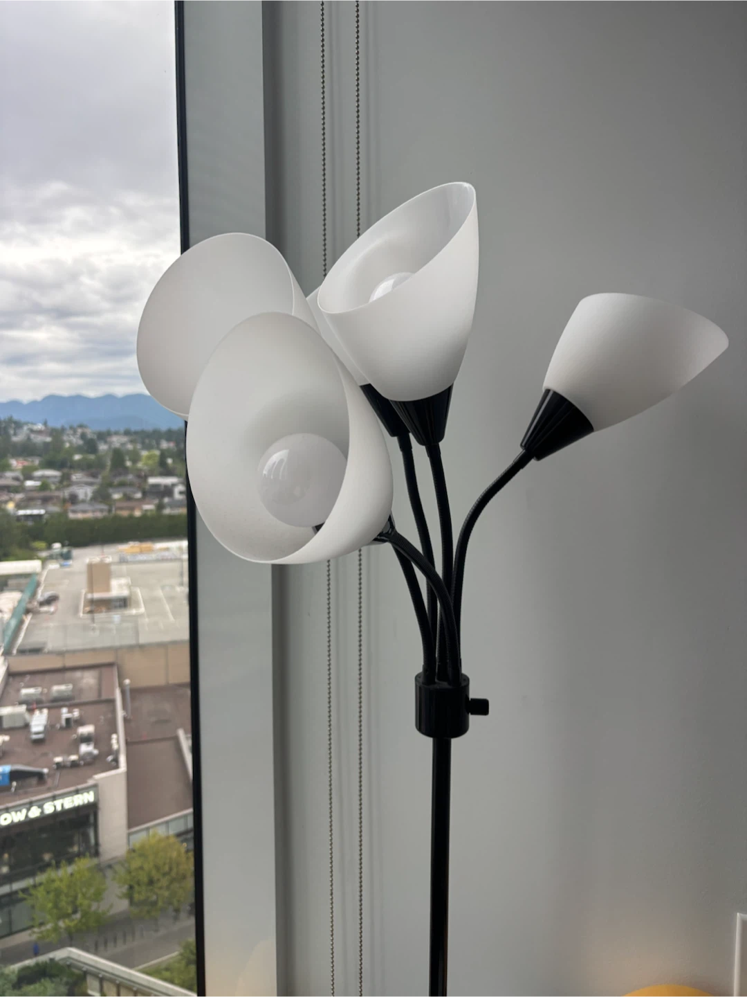 Black Multi-Head Floor Lamp
