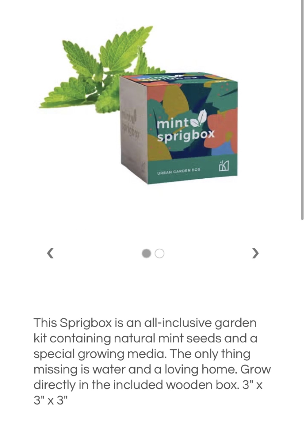 Easy Sustainable Mint Grow Kit! - photo 2