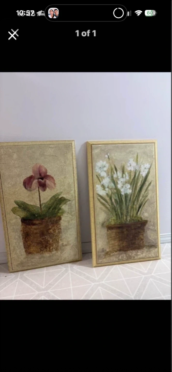 Set of 2 floral canvas wall art