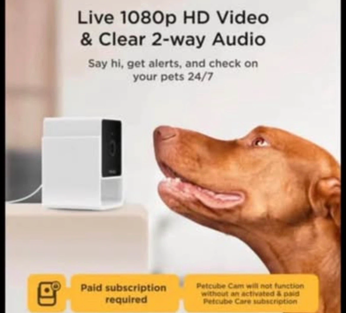 Petcube Cam - Pet Monitoring Camera - photo 2