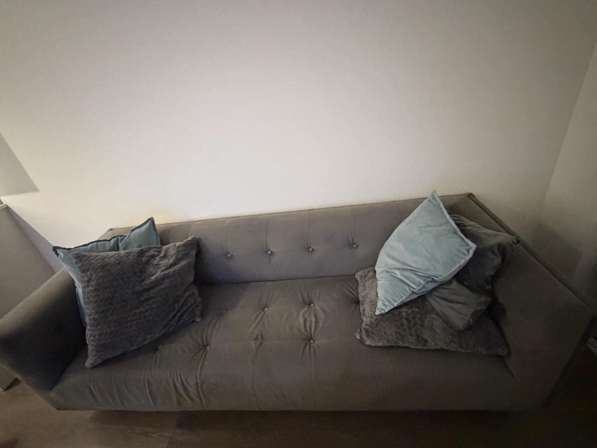 Grey sofa free