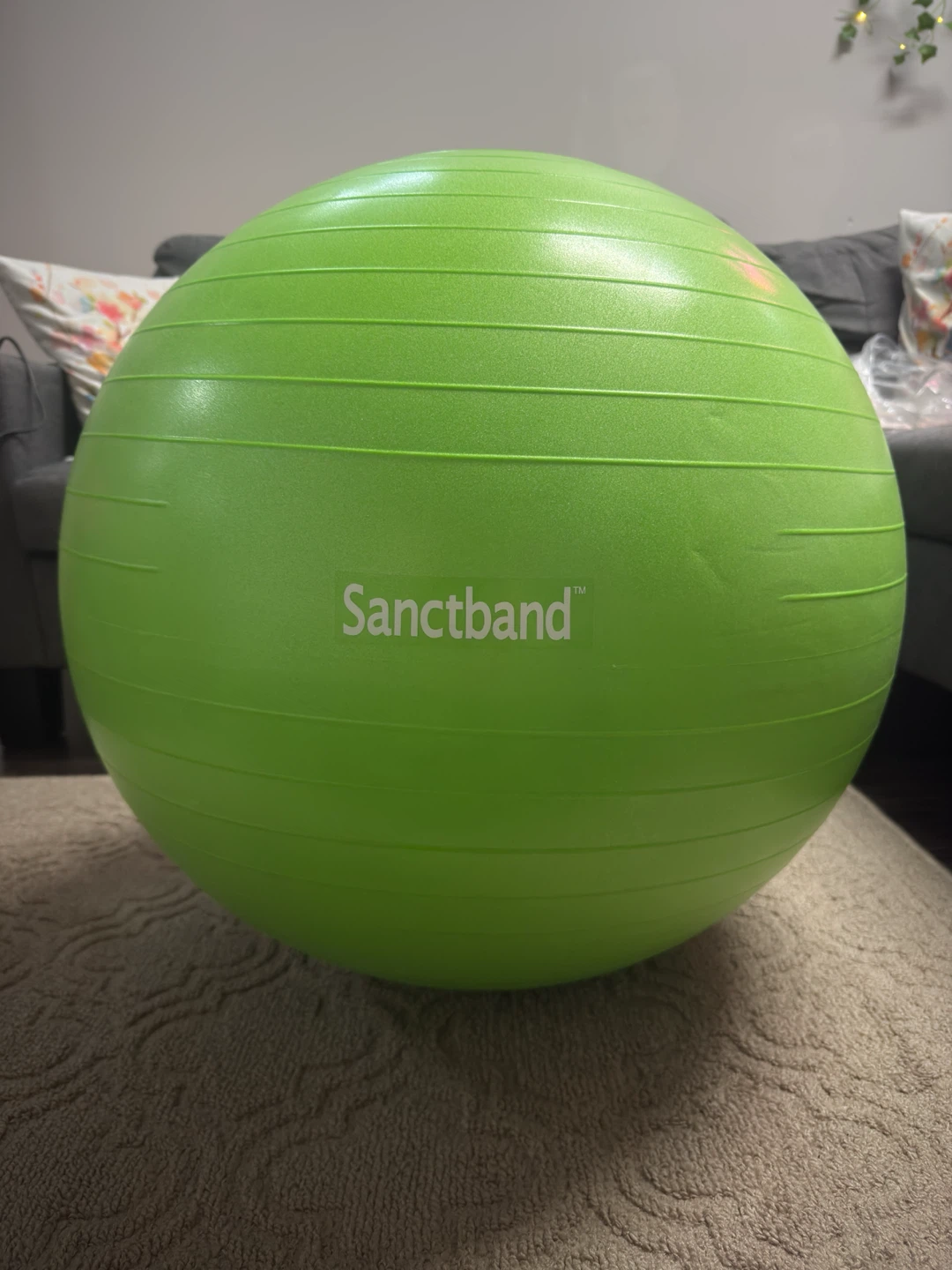 Brand New Exercise Ball