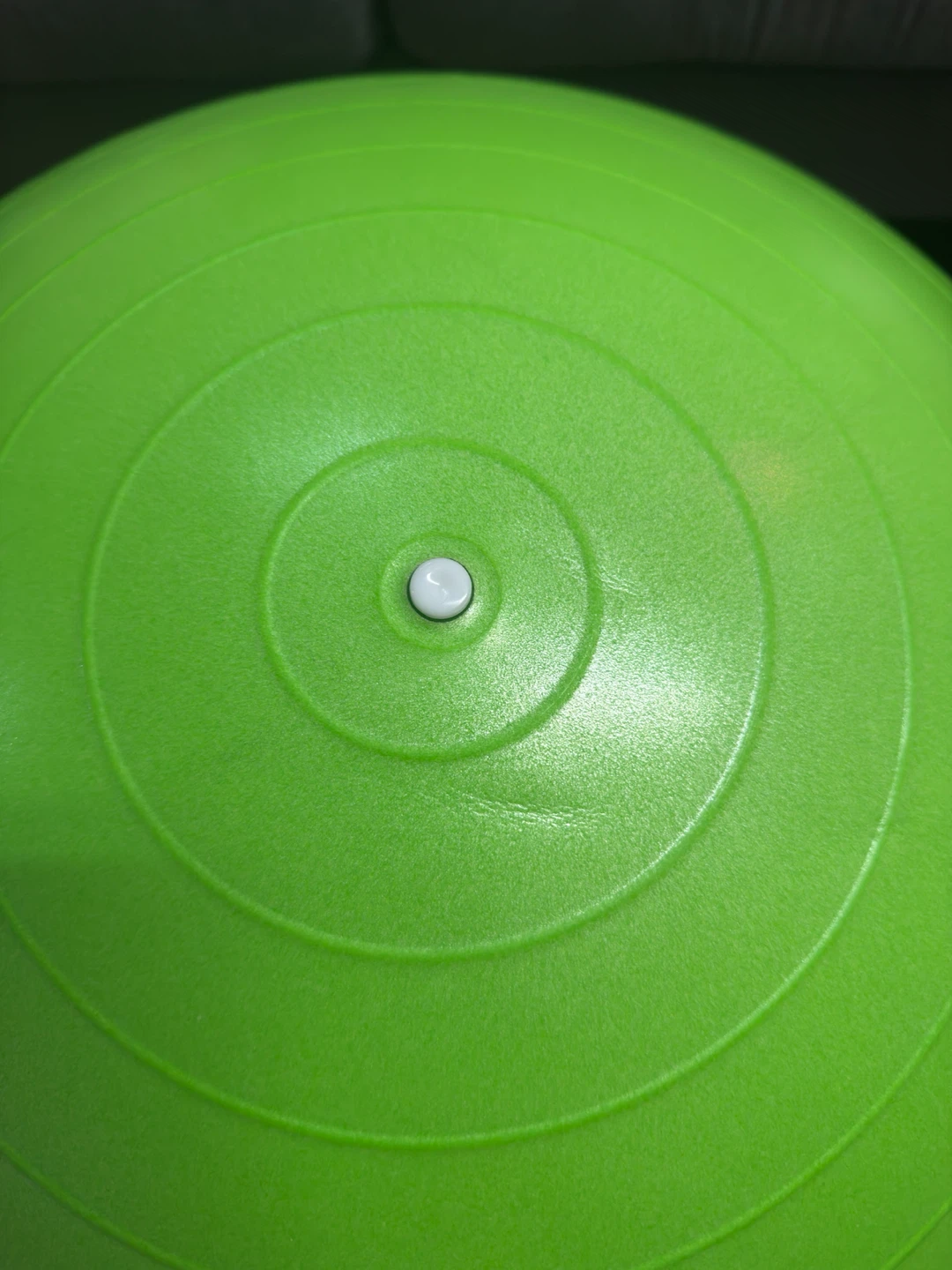 Brand New Exercise Ball - photo 2