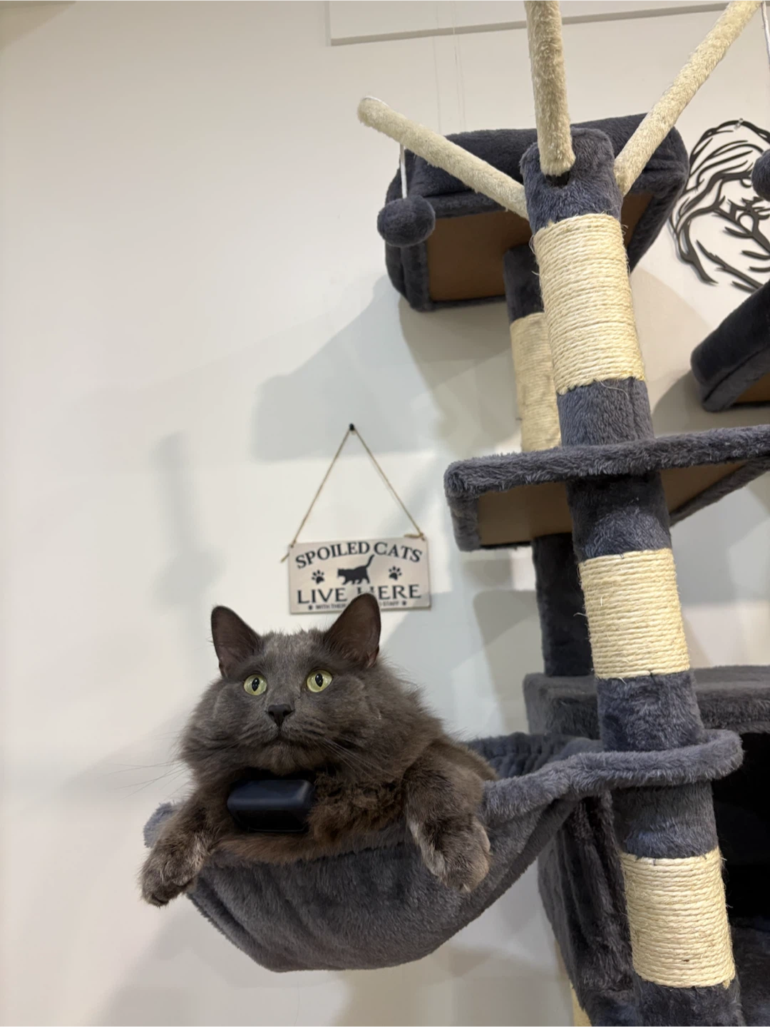 Cat TREE - photo 2
