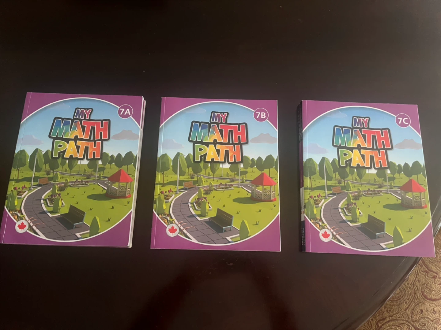 My Math Path Workbooks 7A, 7B, 7C