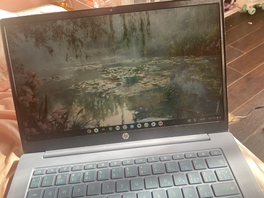 HP Chromebook Laptop - photo 2