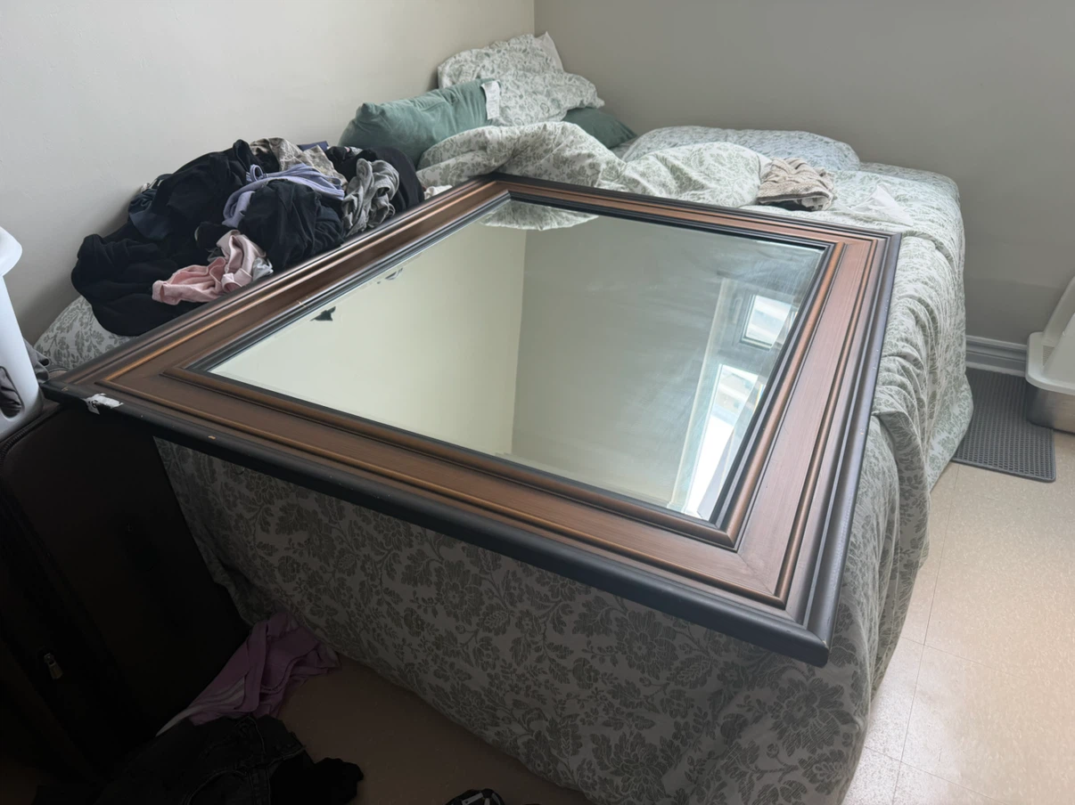 Large Decorative Mirror with Bronze Frame