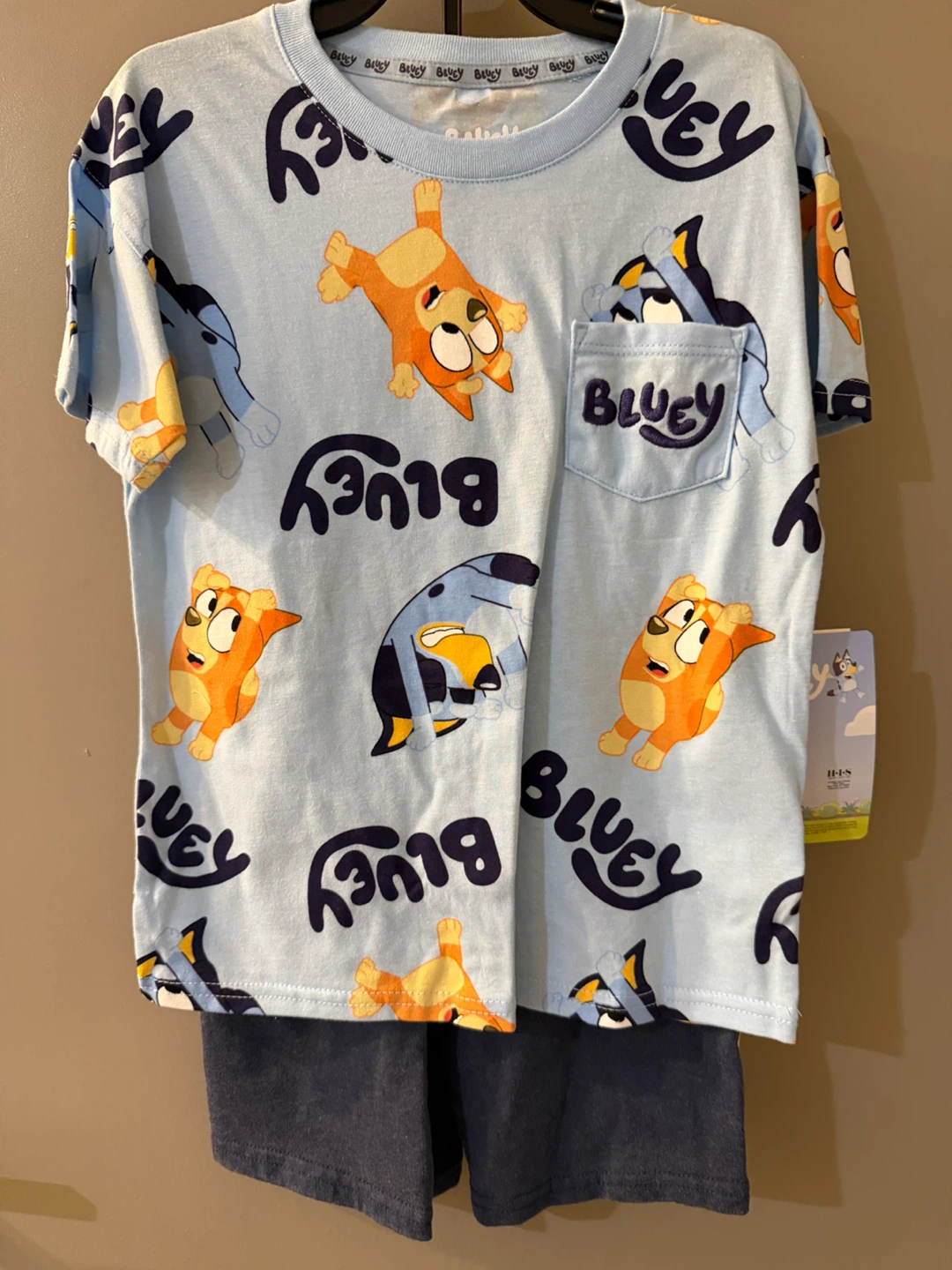 Bluey T-Shirt and Shorts Set 5T