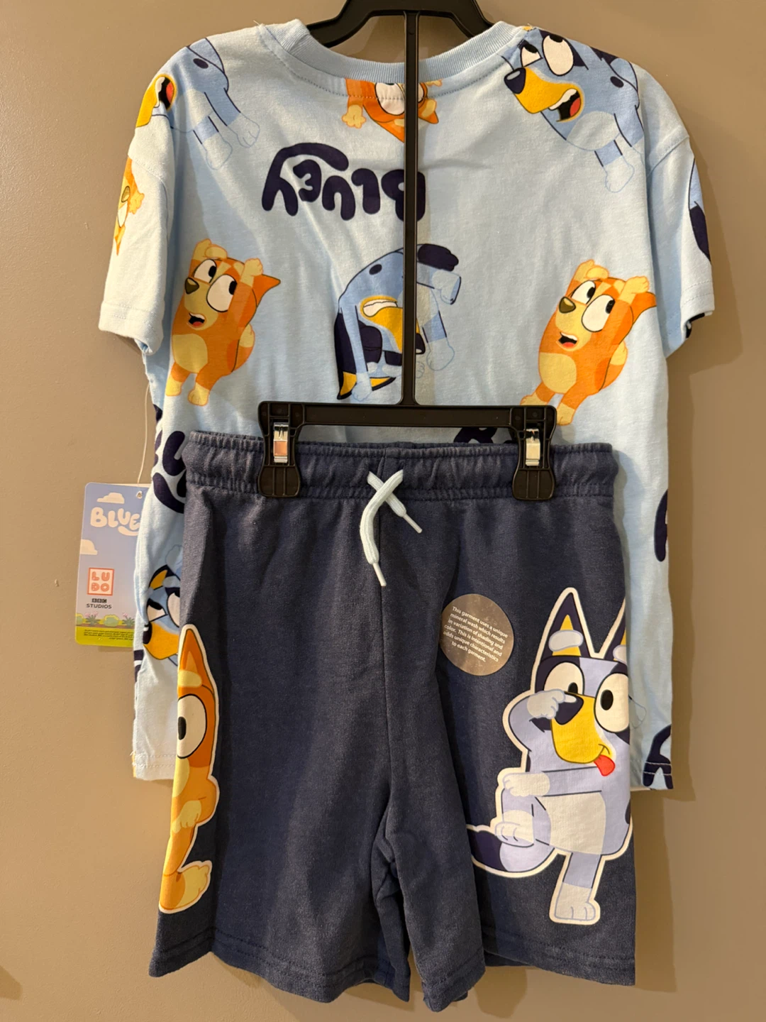 Bluey T-Shirt and Shorts Set 5T - photo 2