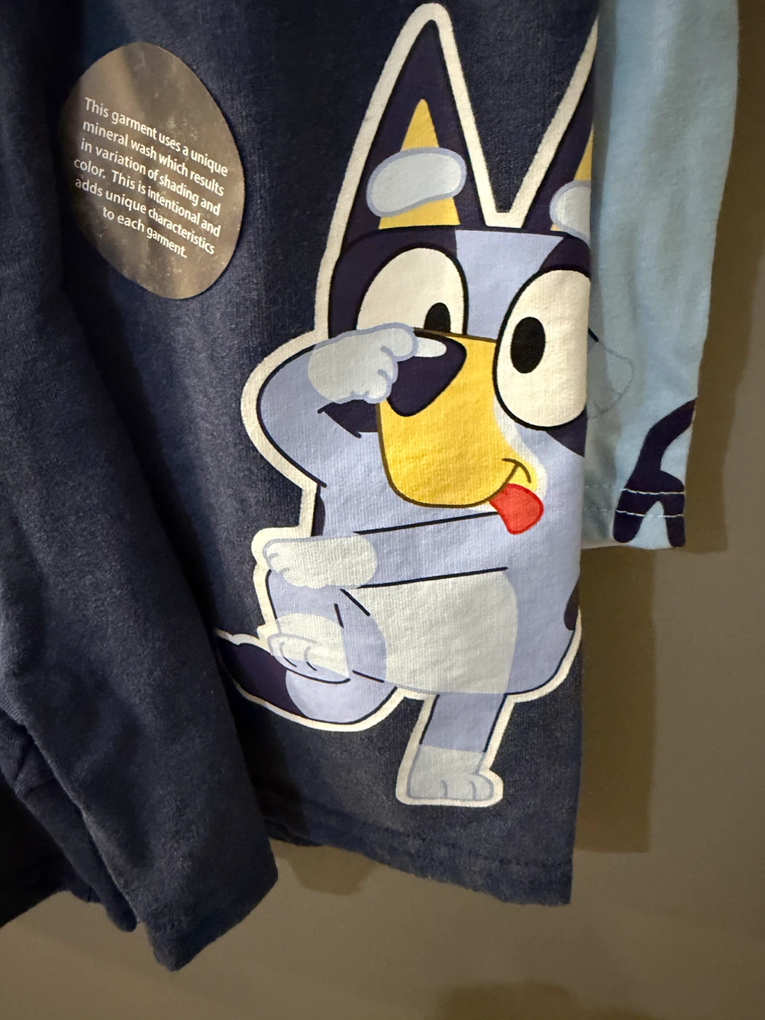 Bluey T-Shirt and Shorts Set 5T - photo 4