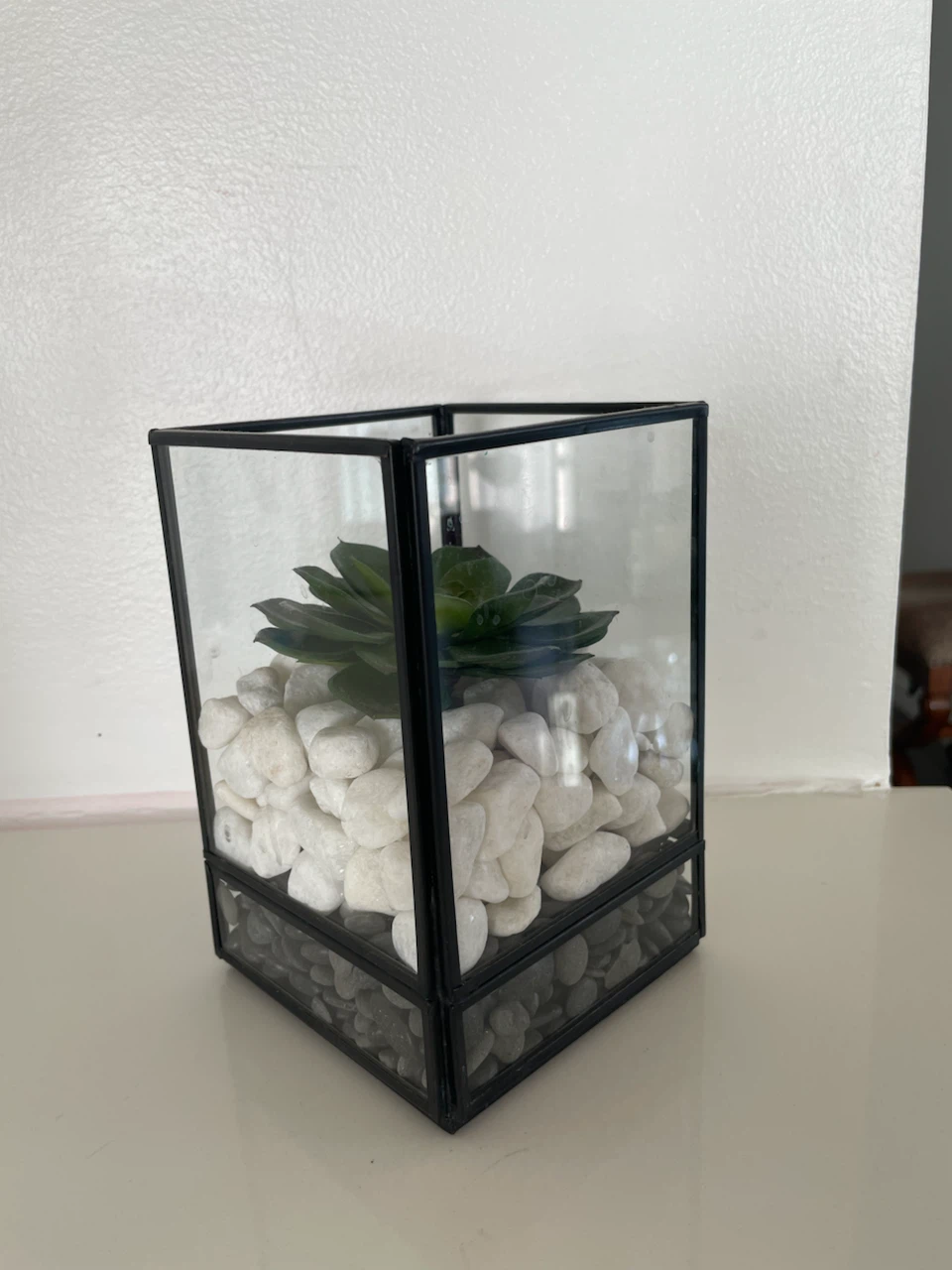 Glass Terrarium with Succulent and Stones