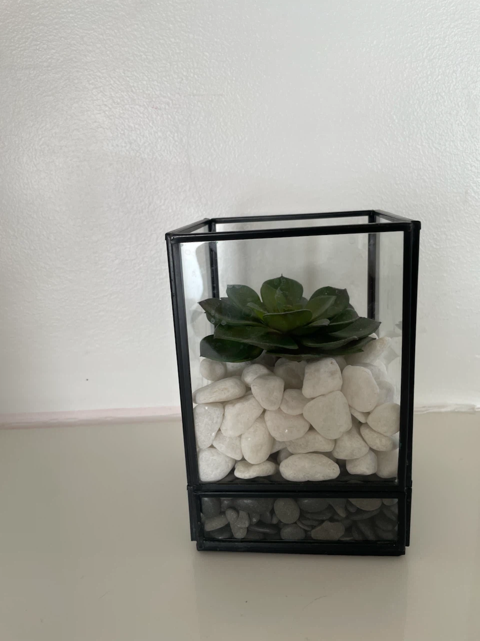 Glass Terrarium with Succulent and Stones - photo 2