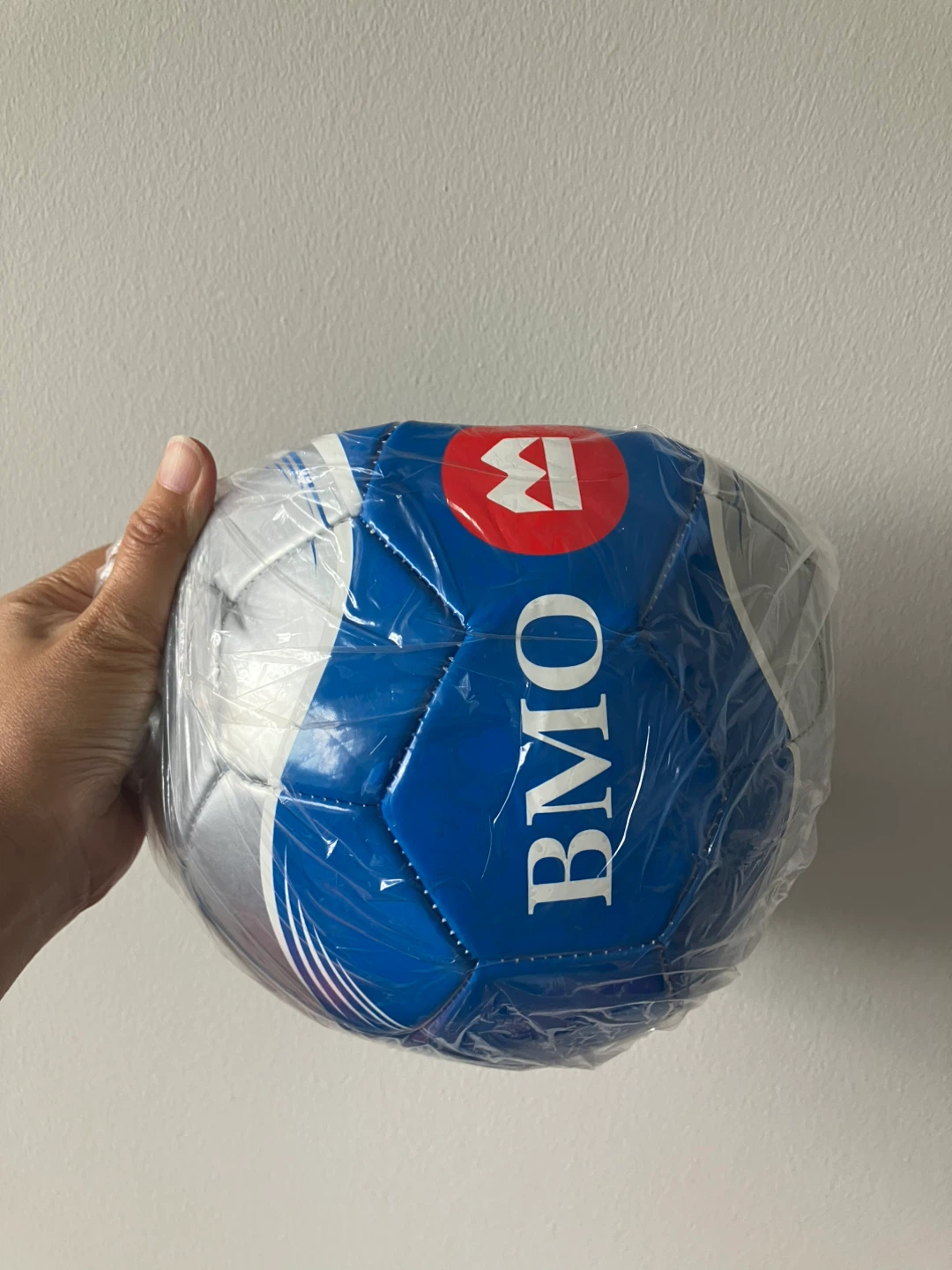 BMO Soccer Ball