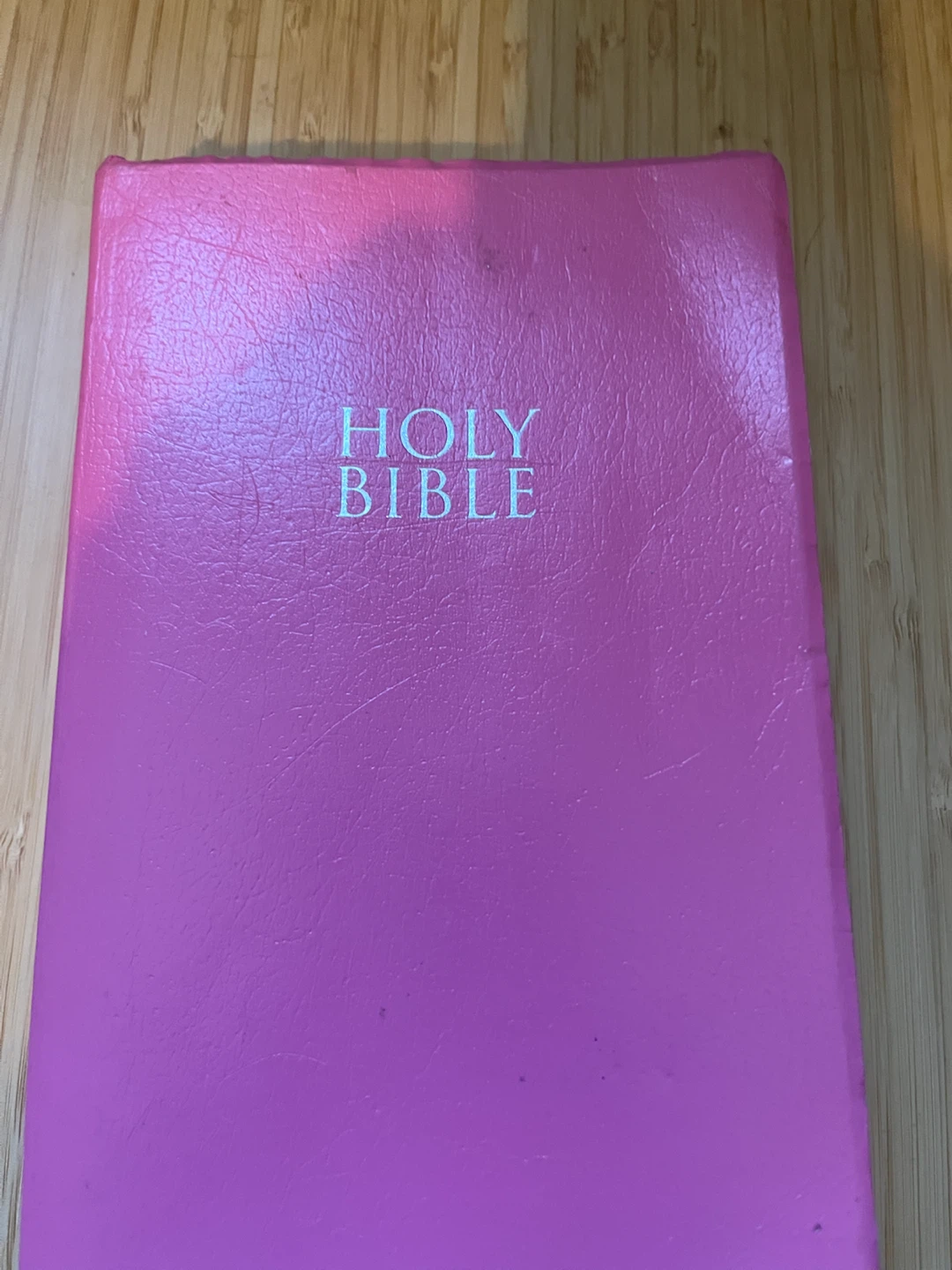 NIV Holy Bible