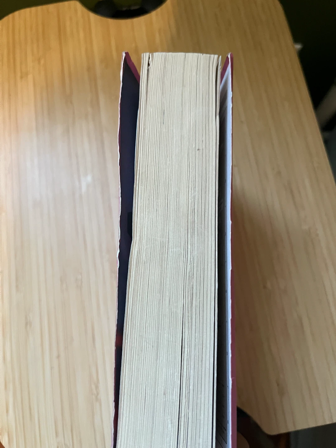 NIV Holy Bible - photo 3