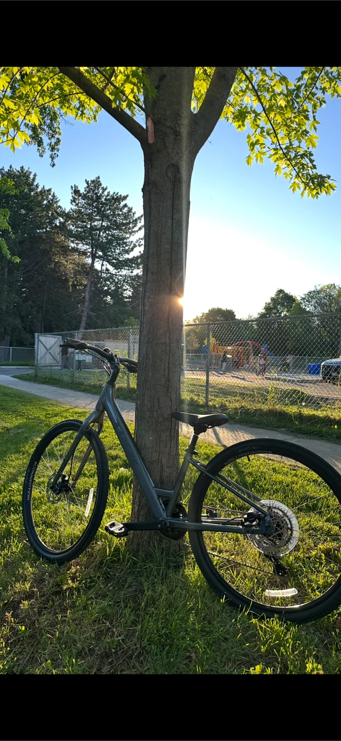 Trek Verve 2 Lowstep, small size 🚲 (Only 2 Months Old!)