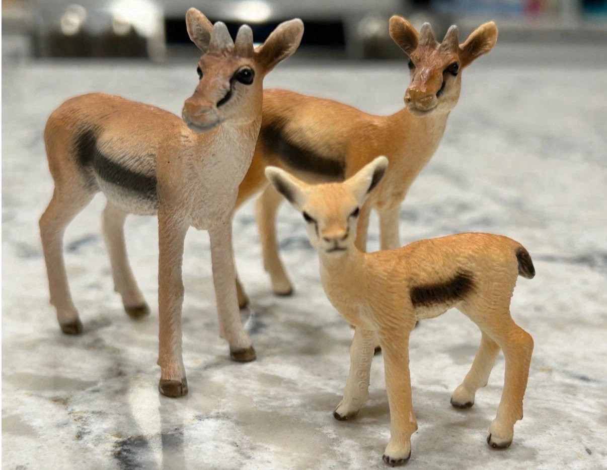 Schleich Safari/Jungle Animal Collector Toys ($ in description) - photo 5