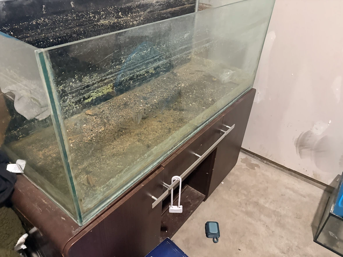 75 gallon fish tank with stand