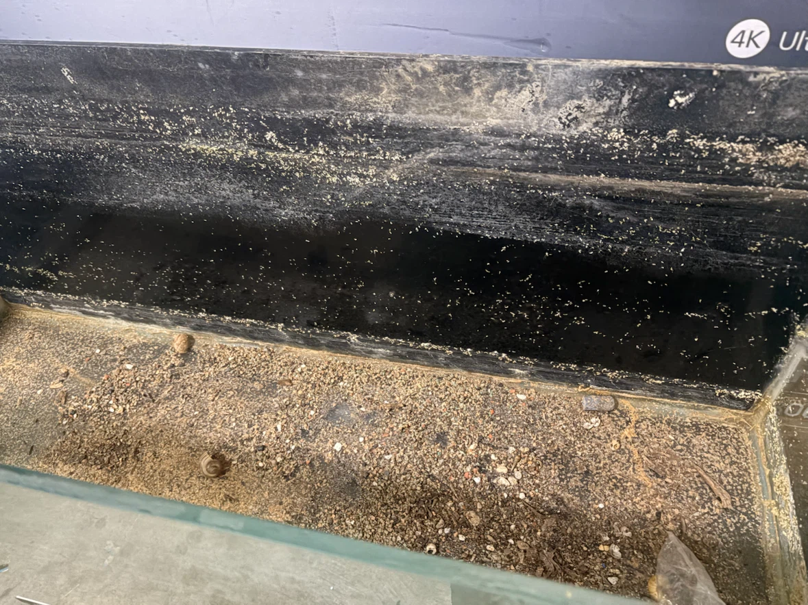 75 gallon fish tank with stand - photo 3