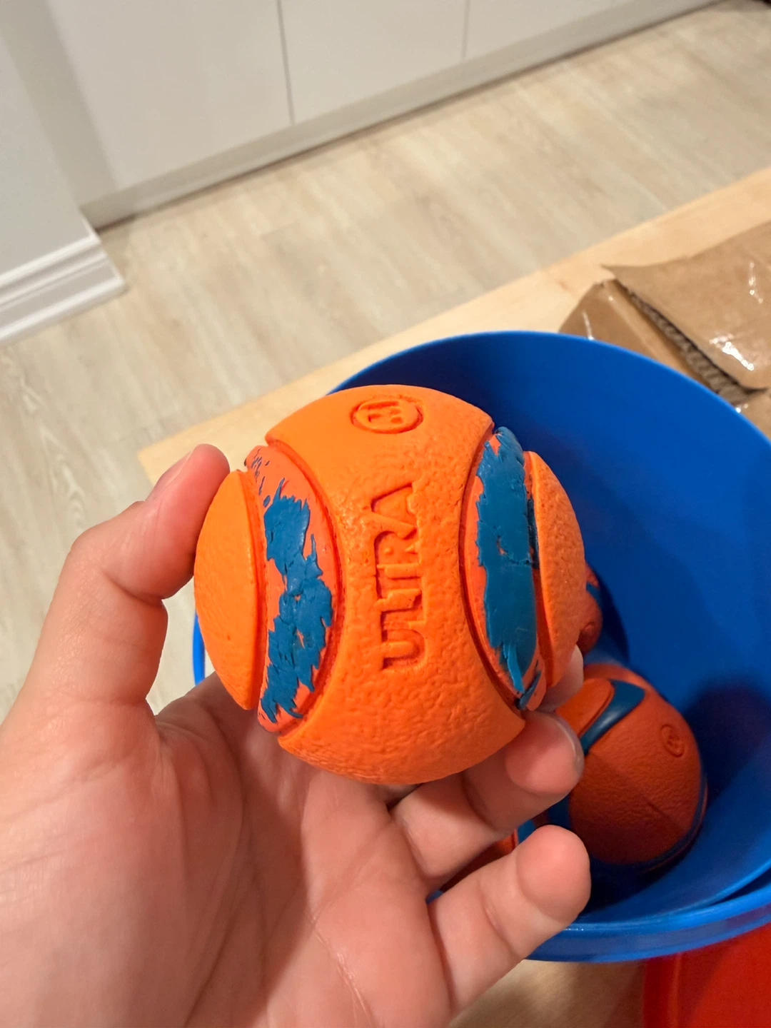 Toy for Dog - photo 4