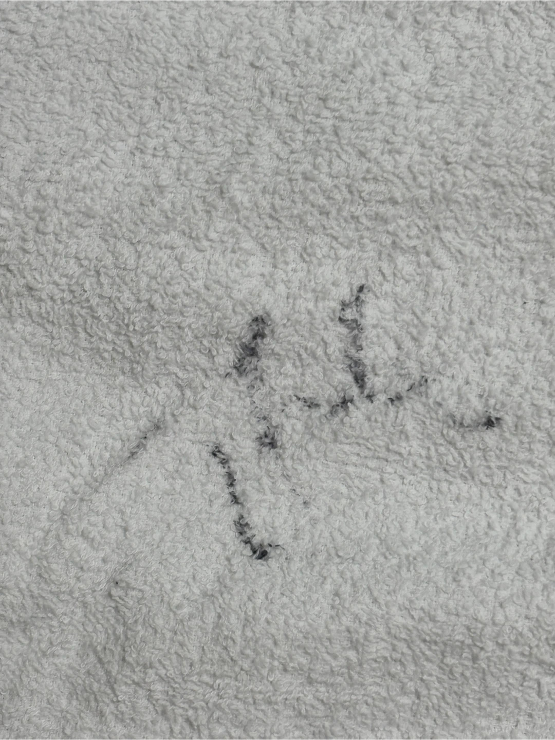 Taylor Fritz Autograph Signed Used Tennis Towel 2025 National Ba