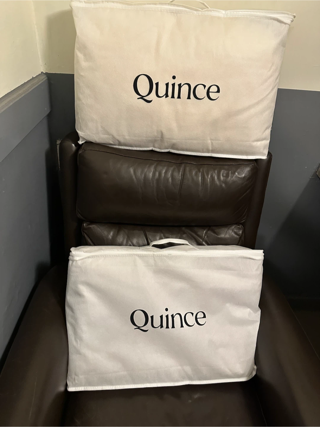 Quince Premium Down Alternative Pillow - Standard Medium